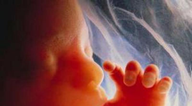 Аборт — смертельный грех Епитимья - способ искупить грех аборта